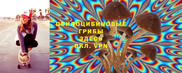 меф Белокуриха