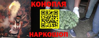 дмт Дубна