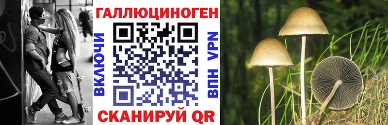 мориарти официальный сайт  Великие Луки  Галлюциногенные грибы прущие грибы 