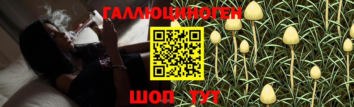 Великие Луки  Псилоцибиновые грибы мухоморы  Вход с VPN 