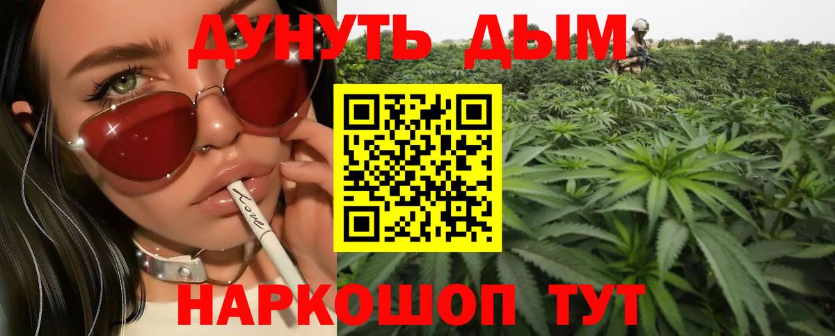 Великие Луки  Бошки Шишки тримм  Марихуана OG Kush  Вход с VPN  Конопля Bruce Banner  Бошки марихуана план 